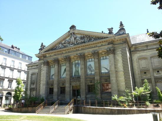Naturkundemuseum Nantes